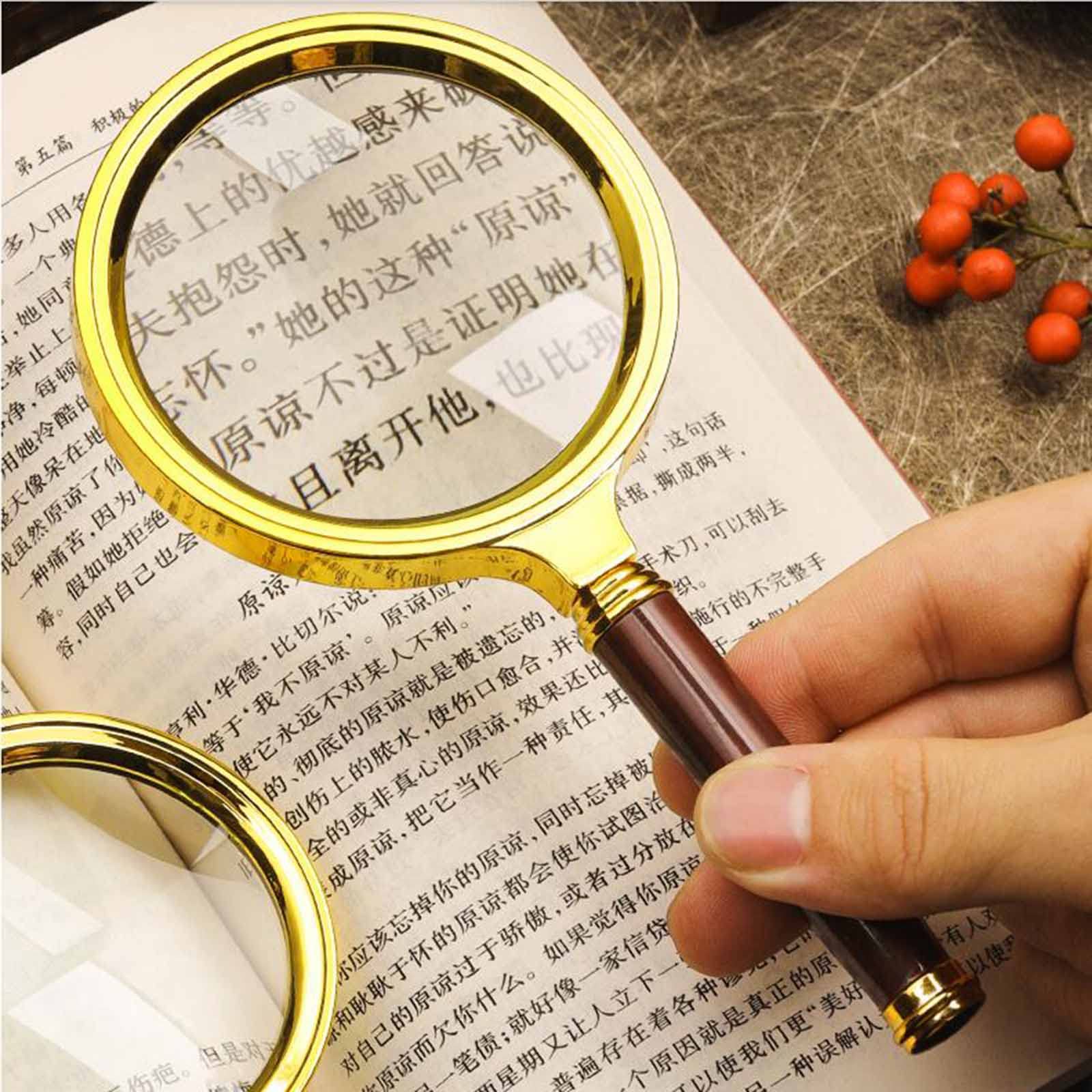 Amazon.co.jp: 虫眼鏡、手持ち虫眼鏡、携帯用拡大鏡、本、新聞